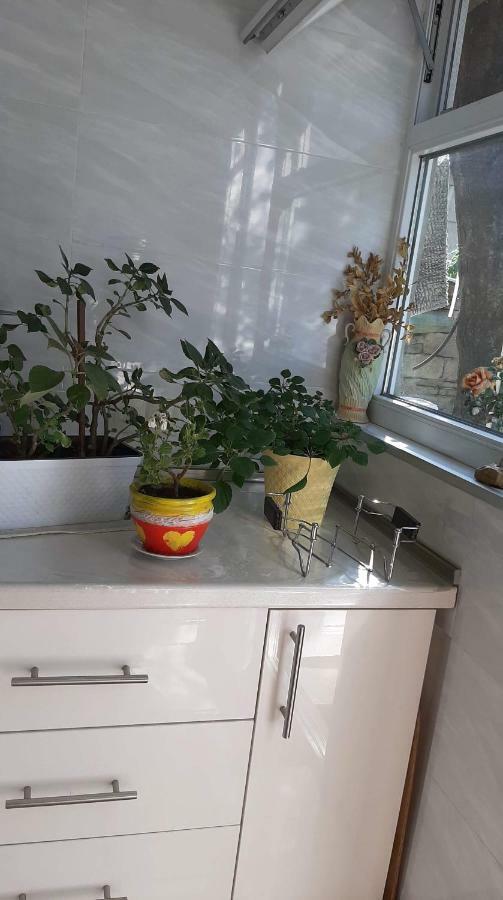 شقة Newly Renovated House تبليسي المظهر الخارجي الصورة