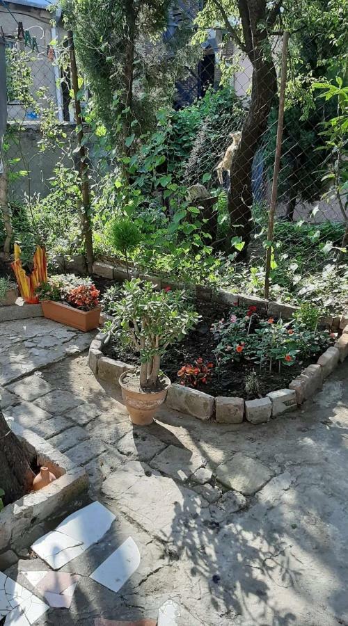 شقة Newly Renovated House تبليسي المظهر الخارجي الصورة